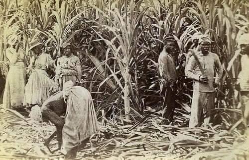 « Possession » : en Jamaïque, les fantômes du passé colonial ressurgissent