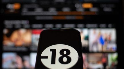 L'UE accuse quatre sites pornographiques de laisser les mineurs accéder à leurs contenus